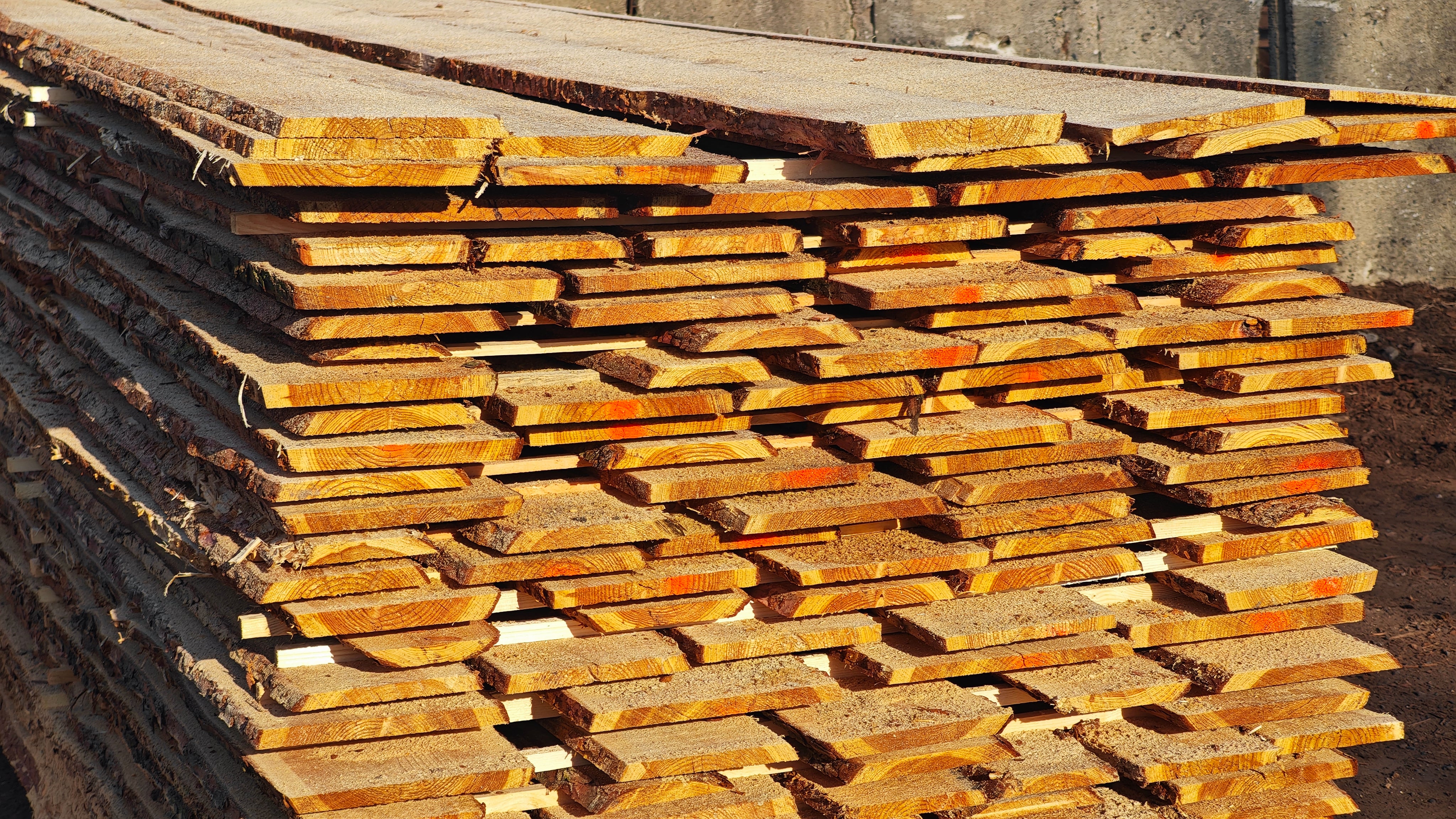 Schwarten in Lärche/Eiche/Fichte Rangerzaun Bonanzabretter