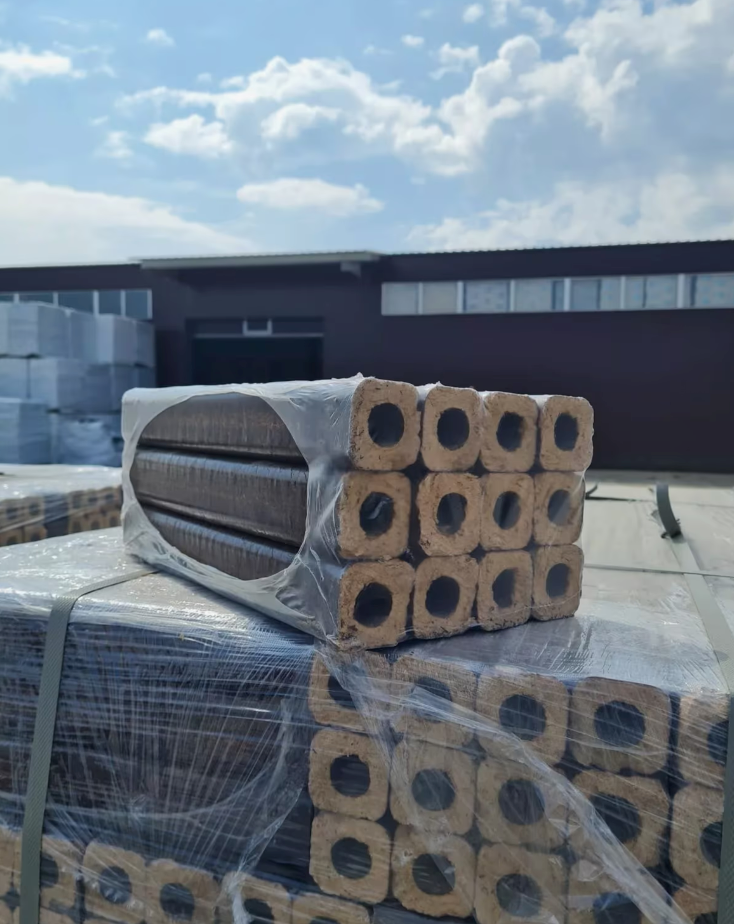 Hartholzbrikett Pinikay Brennholz Kamin Ofen 10kg x 96 960kg kostenloser Versand