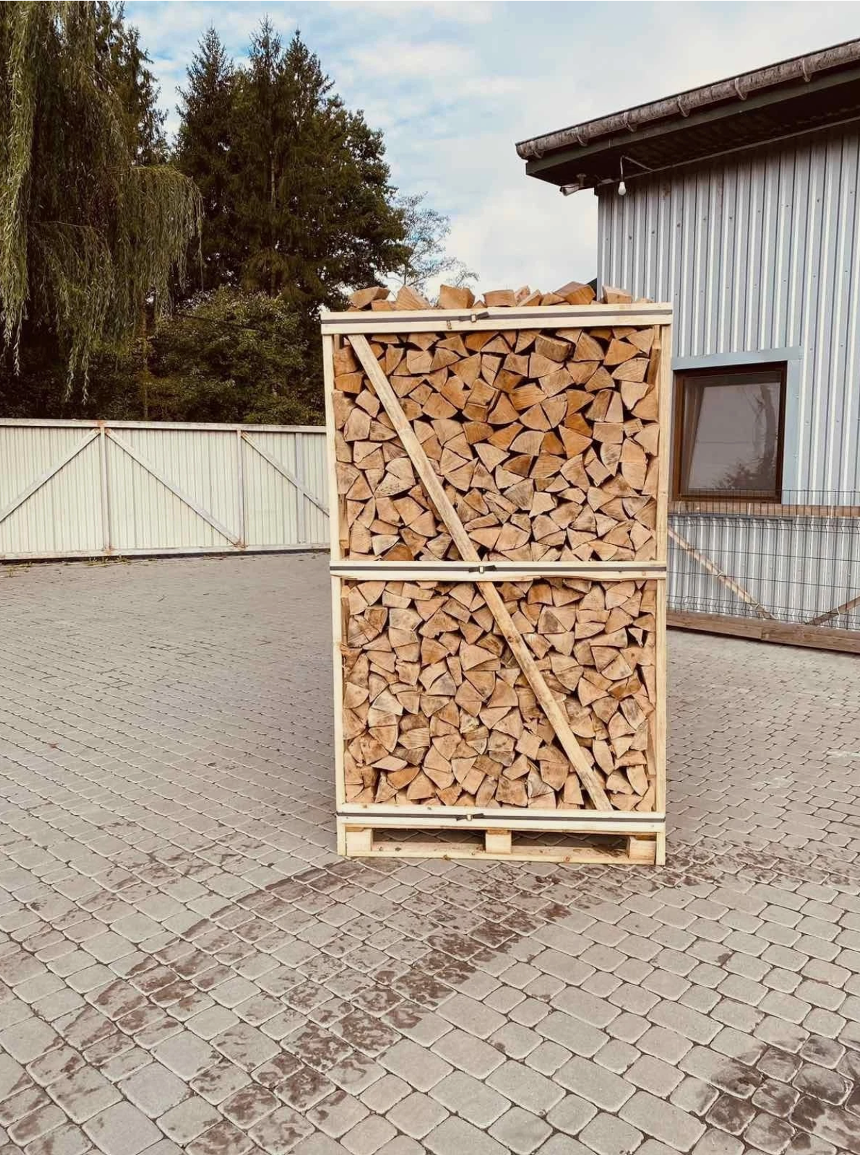 Buchenholz Brennholz 490kg Vorgetrocknet 25/33cm/1 RM