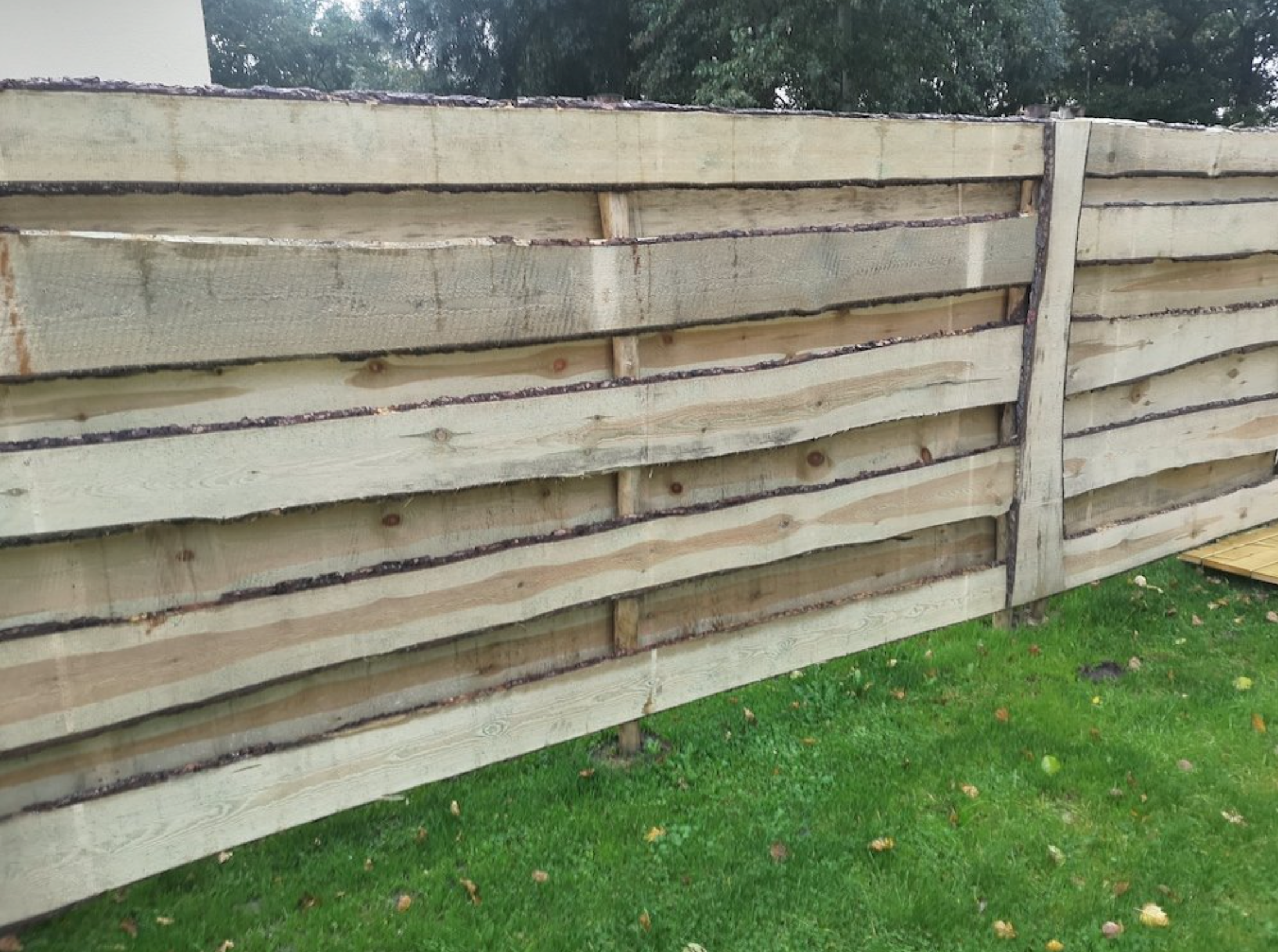 Schwarten Fichte 20x250