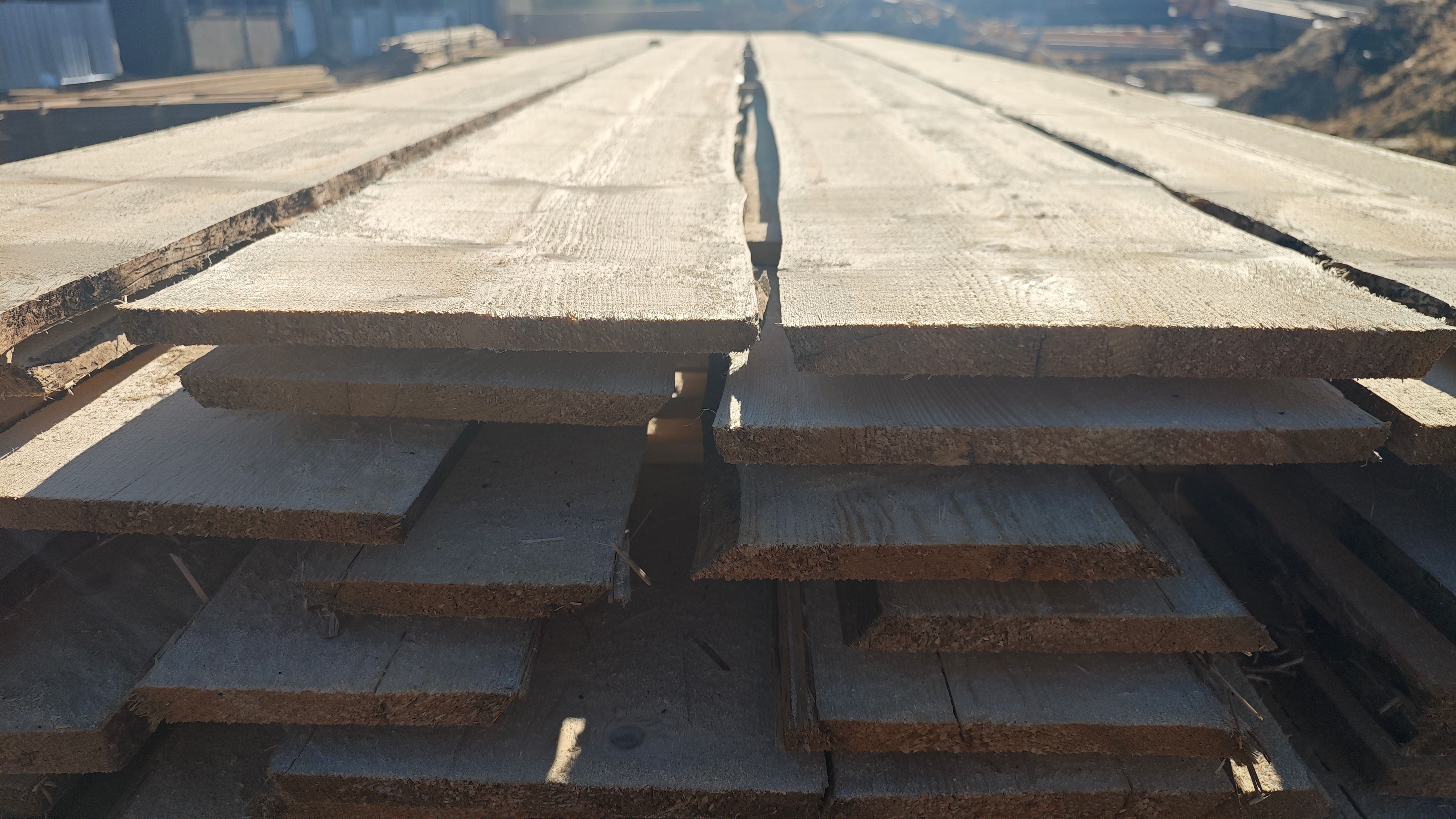 Schwarten Fichte 20x250