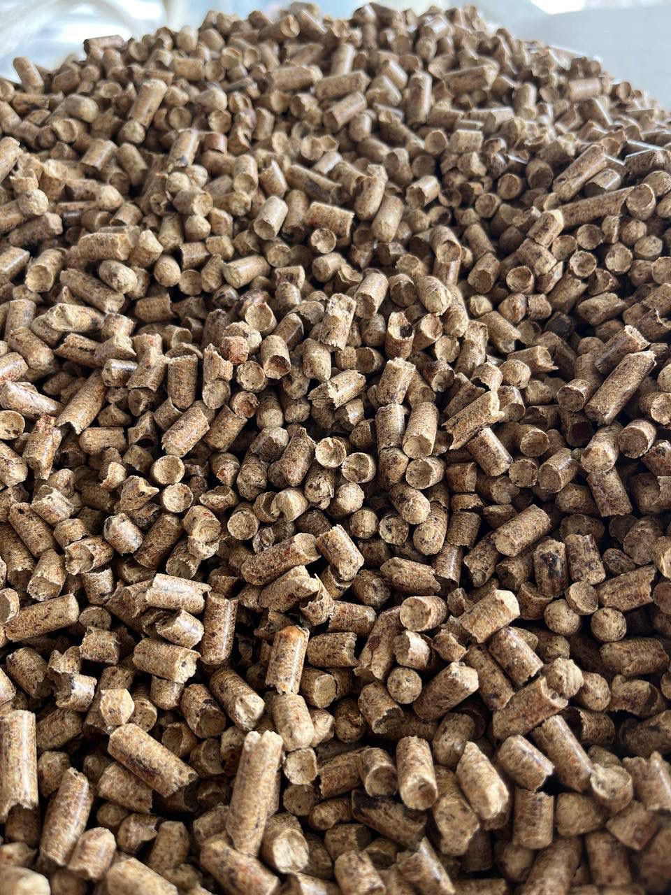 DPP Resource Holzpellets 442€/t 70 Sack a 15kg