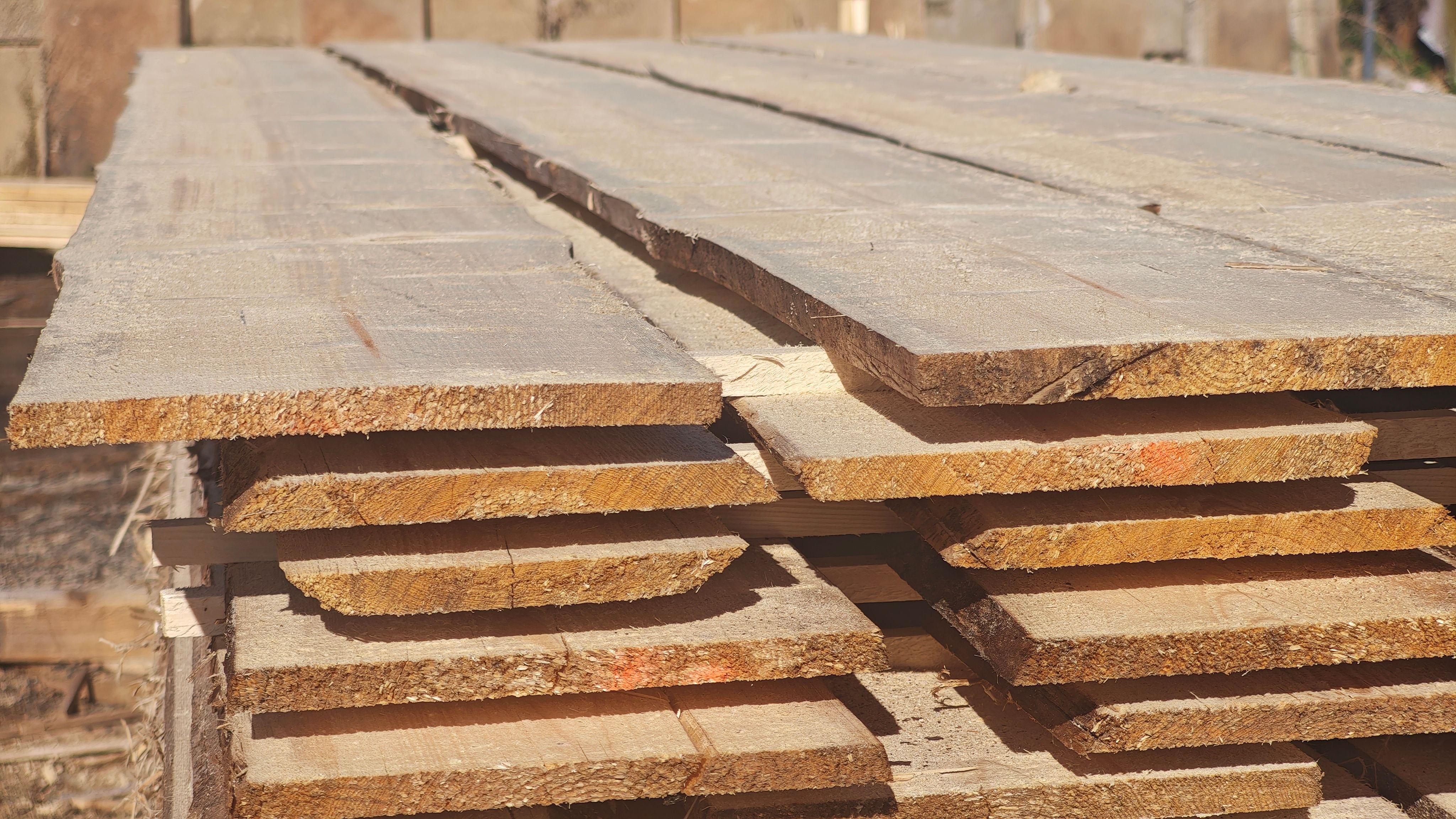 Schwarten Fichte 20x250