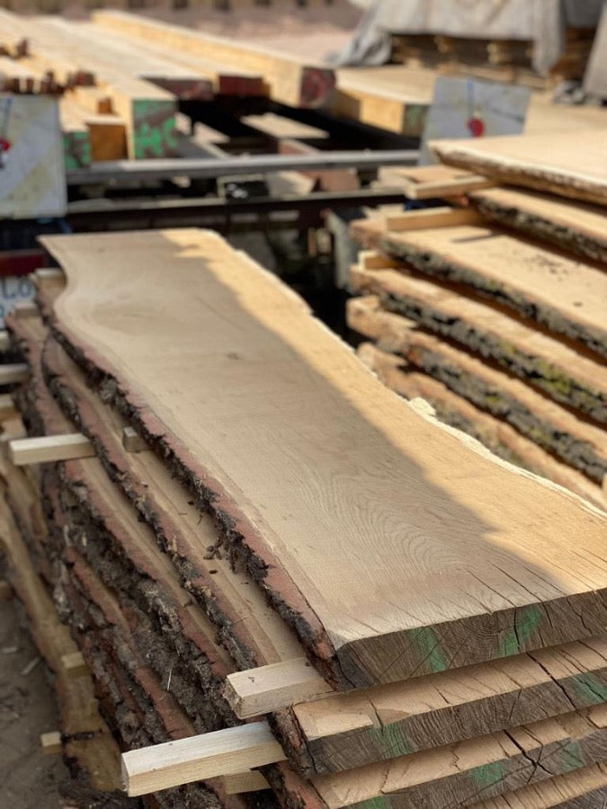 Sägewerk holz4u Woodmizer LT70 WIDE Löbau Bauholz