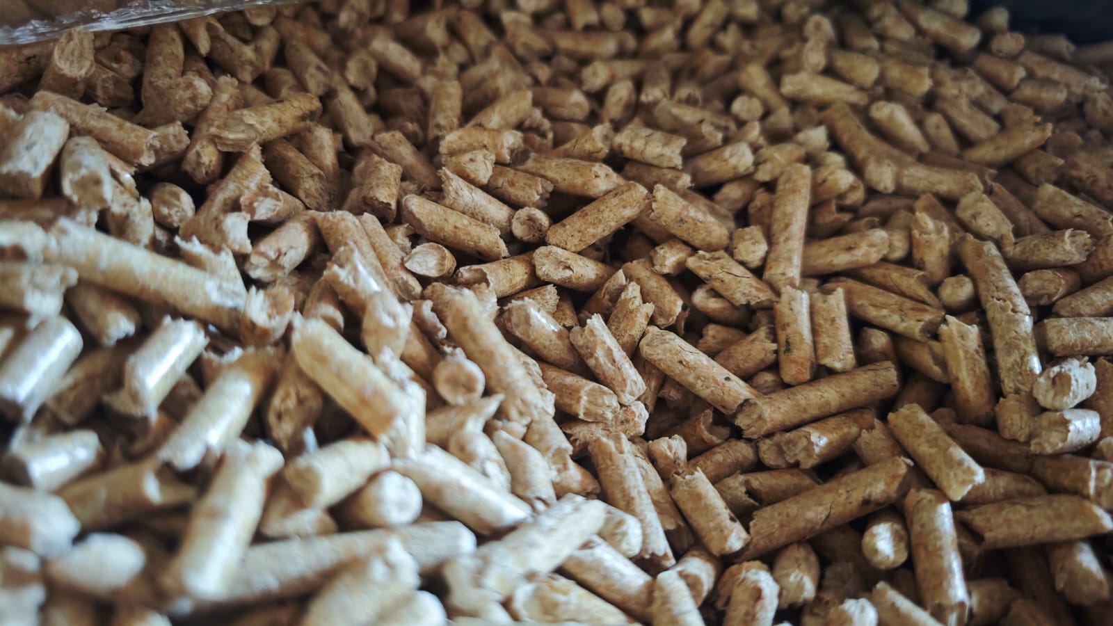 Holzpellets