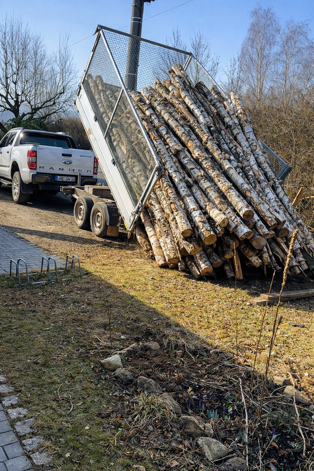 8/RM Stammholz-Eiche-Birke-Kiefer-Robinie/Akazie