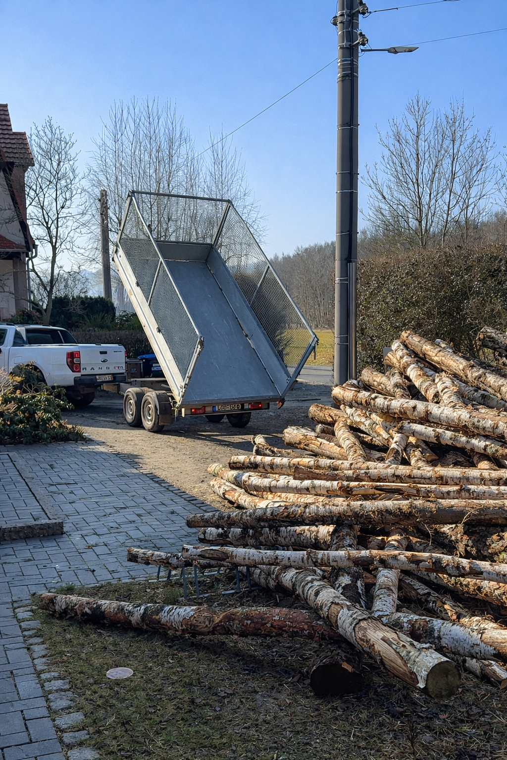 8/RM Stammholz-Eiche-Birke-Kiefer-Robinie/Akazie